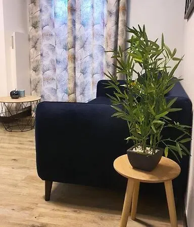 Appartement Duplex T2 Neuf Jardin Lecoq