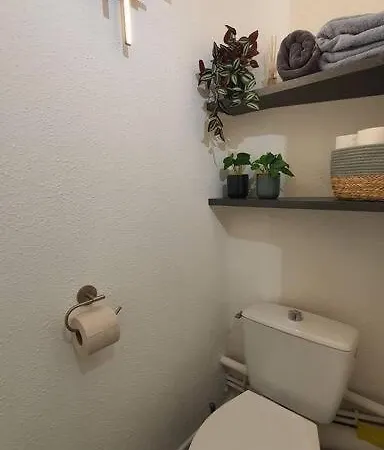 Duplex T2 Neuf Jardin Lecoq Appartement