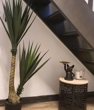 Duplex T2 Neuf Jardin Lecoq *