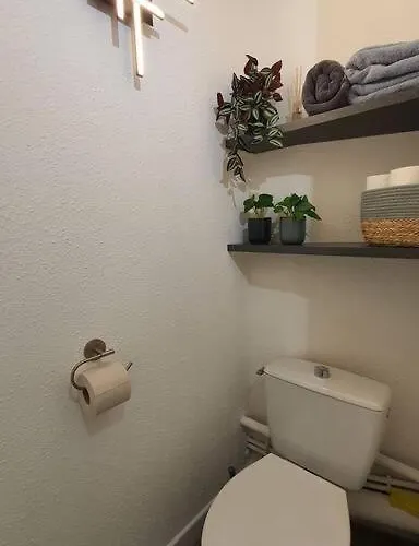 Duplex T2 Neuf Jardin Lecoq Appartement