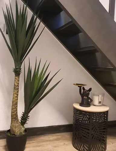 Duplex T2 Neuf Jardin Lecoq *